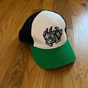 EUC Hartford Yardgoats baseball hat ⚾️